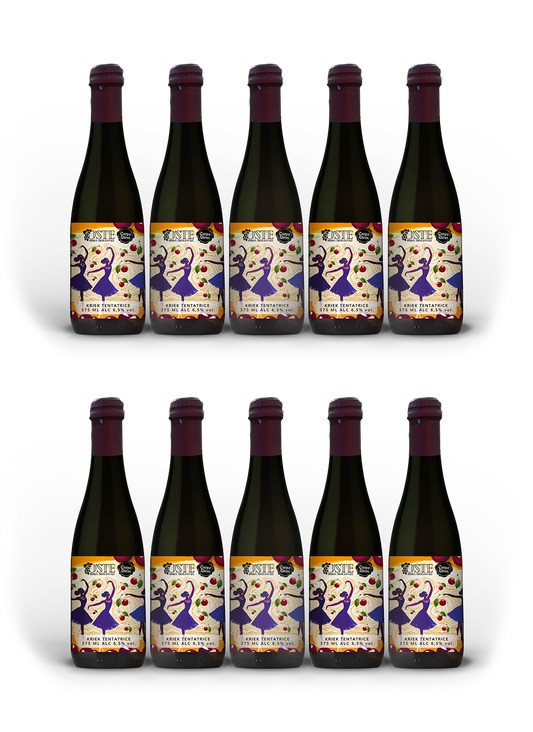 KRIEK ALLE CILIEGIE 375ML | 6,5% - 10PZ