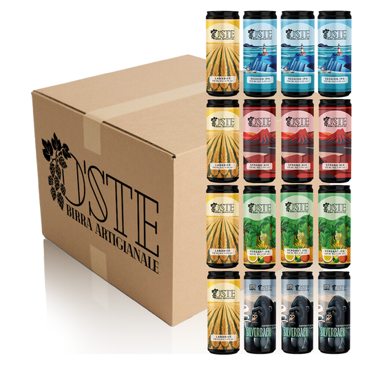 Box degustazione 16 birre artigianali miste: Landbier, Session IPA, Strong Ale, Verdant IPA, Coffee Porter